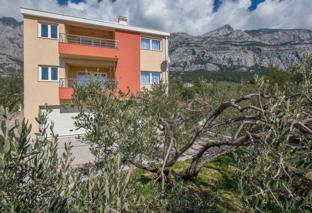 Buba/maslina Apartment Makarska